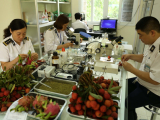 Quy trình C/O, kiểm dịch thực vật XNK hàng hóa trọn gói chuyên nghiệp