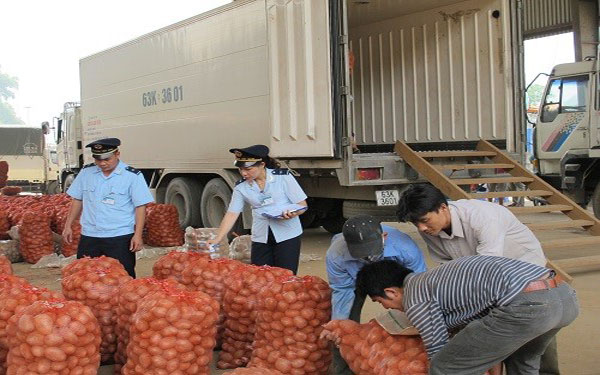 dich-vu-co-kiem-dich-thuc-vat-xnk-hang-hoa-tron-goi-chuyen-nghiep