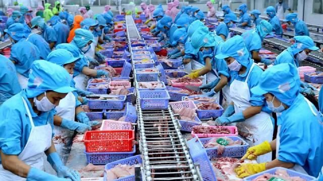 dich-vu-co-kiem-dich-thuc-vat-xnk-hang-hoa-tron-goi-chuyen-nghiep