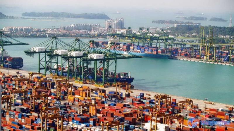 dich-vu-hau-can-xuat-nhap-khau-chuyen-nghiep